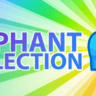 The Elephant Collection