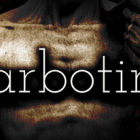Barbotine