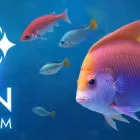 Zen Aquarium