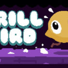 钻头鸟/Drill Bird