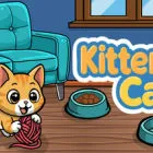 Kittenship Care