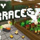 小梯田/Tiny Terraces