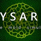 PHYSARUM: Slime Mold Simulator下载-PHYSARUM: Slime Mold SimulatorvBuild ...