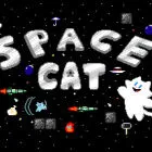 Space Cat