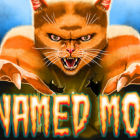 莫哈维之猫/Cat Named Mojave