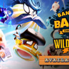 波兰球：编年史