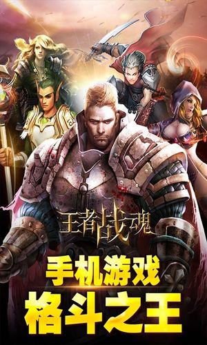 王者战魂软件封面