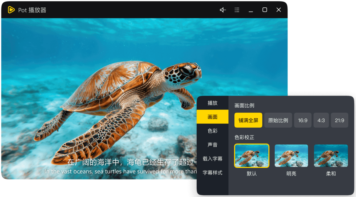 Pot播放器