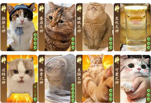 宫百万空降《三国杀：一将成名》闪闪节，喵喵杯第二弹引爆元宵！