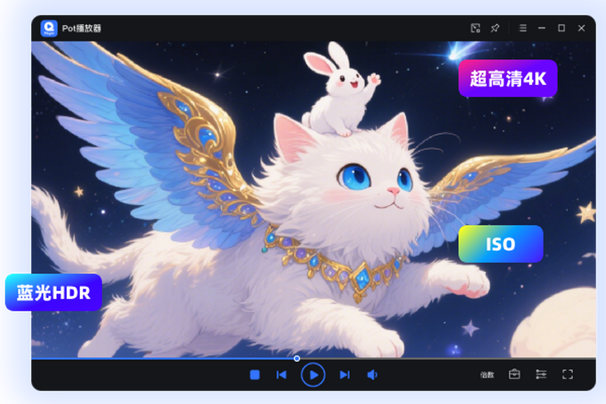 全能王Pot播放器