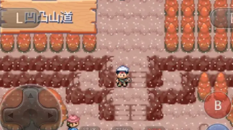 口袋妖怪火红第四个道馆怎么走