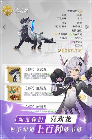 龙与世界的尽头软件封面