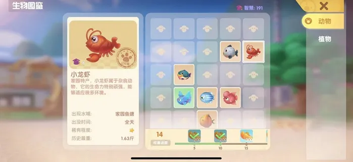 摩尔庄园邻居装扮怎么摆